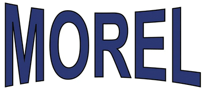 Morel
